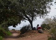 Camino Francés: Etapa 9 de Logroño a Nájera